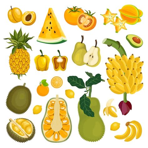 Premium Vector | Yellow Fruits Clipart Fresh Fruit Set Vector illustration