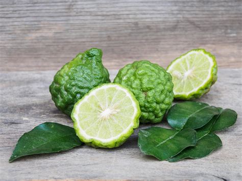 Кафрский Лайм, полезные свойства Кафрского лайма для человека ...