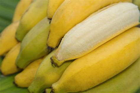 Grupo Das Bananas Isoladas Foto De Stock Imagem De Amarelo