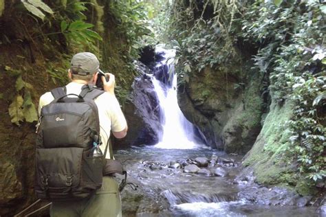 2025 Bosque Nuboso de Mindo Día completo desde Quito