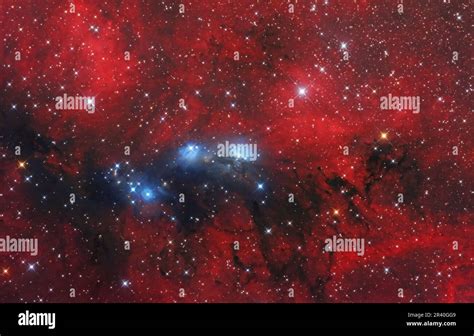 Reflection Nebula NGC 6914 In Cygnus Stock Photo Alamy