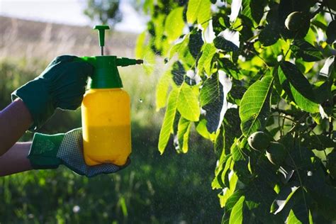 Fungicidas Guía De Jardinería