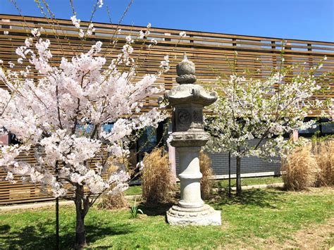 Japanese Canadian Cultural Centre – Canadian Multicultural Council