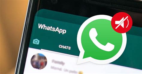 C Mo Evitar Un Contacto De Whatsapp Sin Bloquearlo La Verdad Noticias