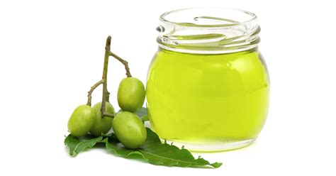 Olio Di Neem A Cosa Serve E Come Usarlo