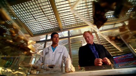 Ver Csi Miami Temporada Episodio Csi Miami Arrepentimientos