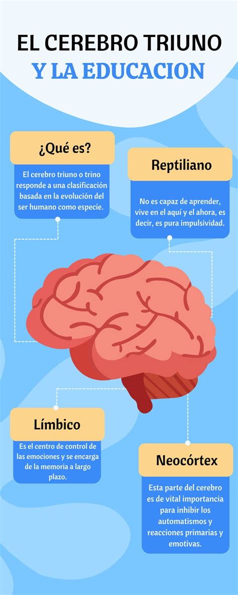 EL CEREBRO TRIUNO Pdf