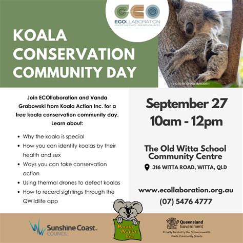 Koala Habitat Restoration – Kirbys Environment Reserve | ECOllaboration