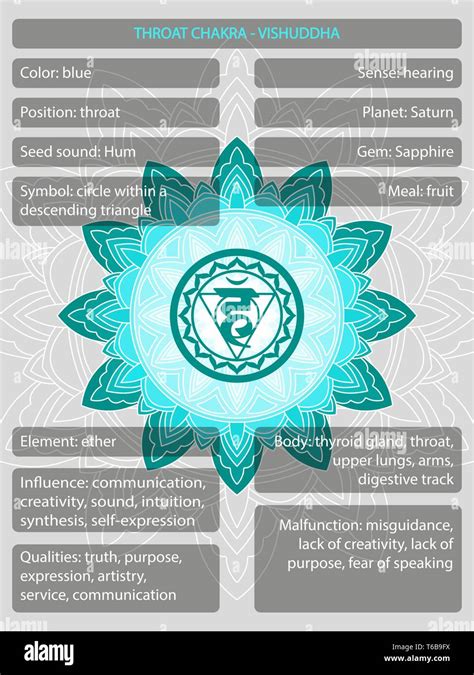 Chakras symbols with description of meanings infographic Stock Vector ...