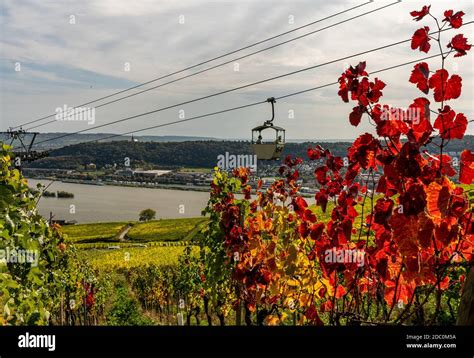 Cable Car To The Niederwald Monument Hi Res Stock Photography And