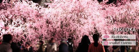 Sakura Calendar
