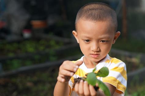 Premium Photo Concept Of Saving The World Boy Planting Trees