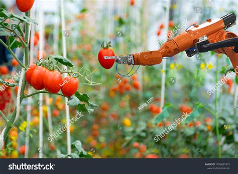 Smart Robotic Farmers Agriculture Futuristic Robot Stock Photo ...