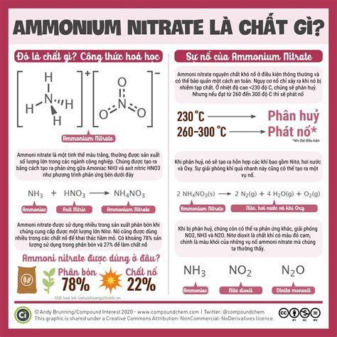 Nh No C L G T M Hi U Amoni Nitrat V Ng D Ng Trong Cu C S Ng