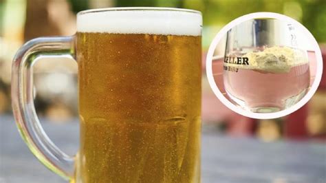 En Alemania Crean La Primera Cerveza En Polvo Te Contamos Todo Sobre