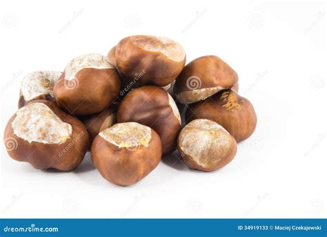 Grupo Das Castanhas Imagem De Stock Imagem De Porca