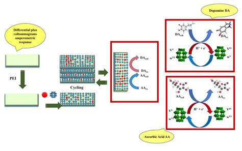 The Schematic Design Of The Layer By Layer Self Assembly Method Download Scientific Diagram