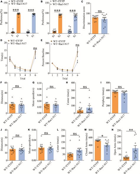 Frontiers Inhibition Of Rac In Ventral Hippocampal Excitatory