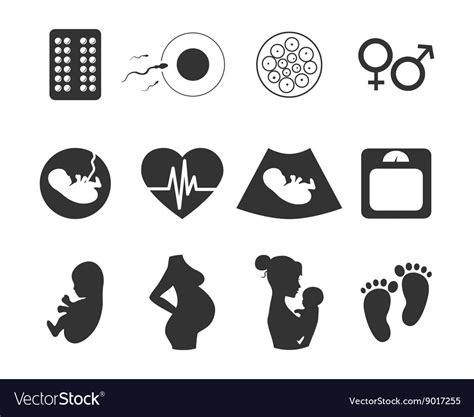 Medicine And Pregnancy Icons Set Royalty Free Vector Image