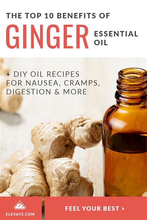 10 Benefits Of Ginger Essential Oil Ginger Benefits Diy Essential