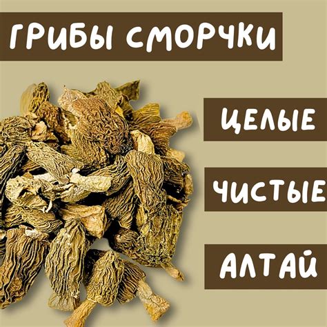 Сморчки Сушеные купить на OZON по низкой цене