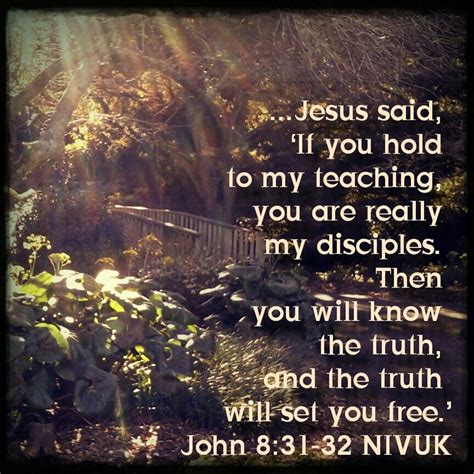 Jesus Said ‘if You Hold To My Teaching You Are Really My Disciples Then You Will Know The