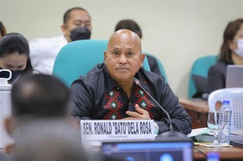 Dela Rosa Told After Comment To Icc Probe Supporters The World News Papers