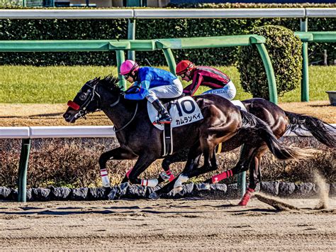 新馬戦回顧 メイクデビューの勝者達 2023年01月09日月 ウマフリ 競馬コラム＆ニュース