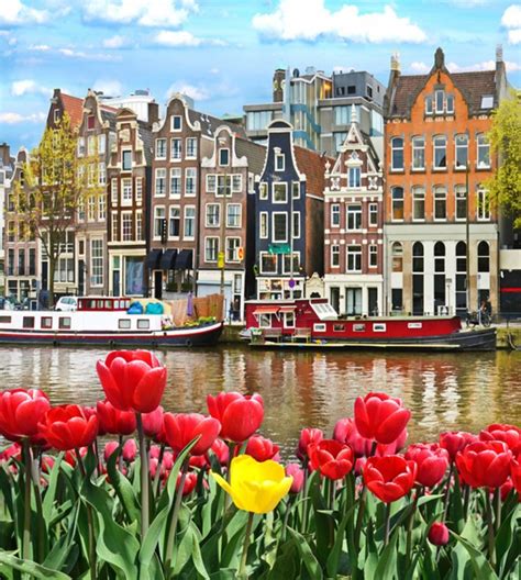 Canal Tulips Amsterdam Wall Mural Wallpaper