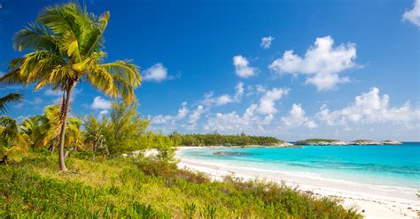 Bahamas Hiking and Nature Trails: The top 5 Bahamas Hikes