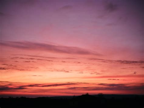 Boa Farm Philipp Horak Photograph