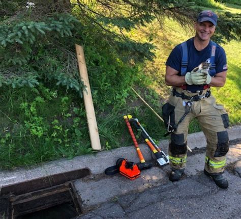 Duluth Fire Fighters Rescue Kitten Trapped In Storm Drain Fox Online