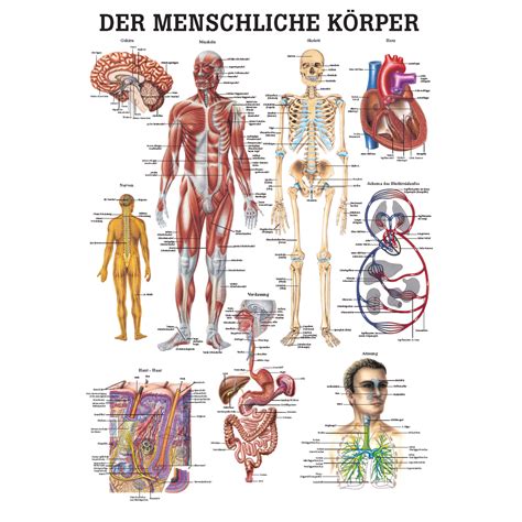 Das Menschliche Limit Telegraph