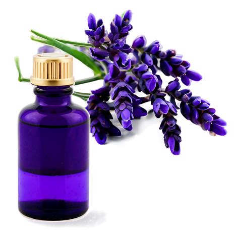 Download Lavender Essential Oil Drops Png 53