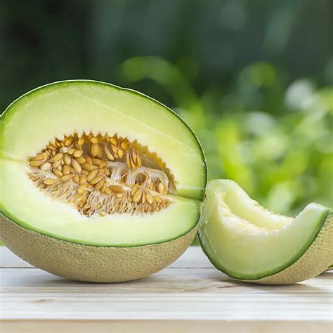 Heirloom Cantaloupe Planting Guide From Seed To Harvest St Clare