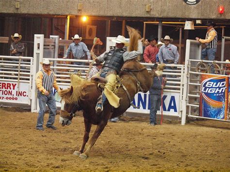 Pasadena Texas Professional Rodeo Cowboys Association Prca Pasadena