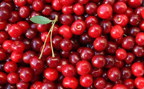 Calorías De Las Cerezas Bekia Fit