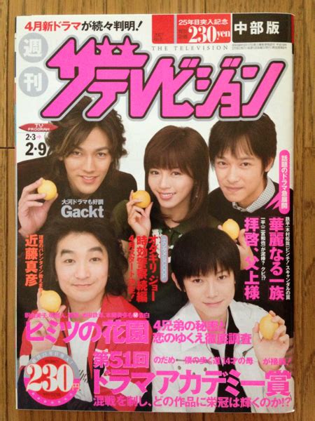 ザ テレビジョン 2007 堺雅人 要潤 池田鉄洋 本郷奏多 ザ・テレビジョン ｜売買されたオークション情報、yahooの商品情報をアーカイブ