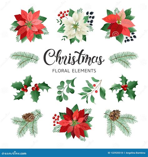 Poinsettia Flowers and Christmas Floral Elements in Watercolor Style