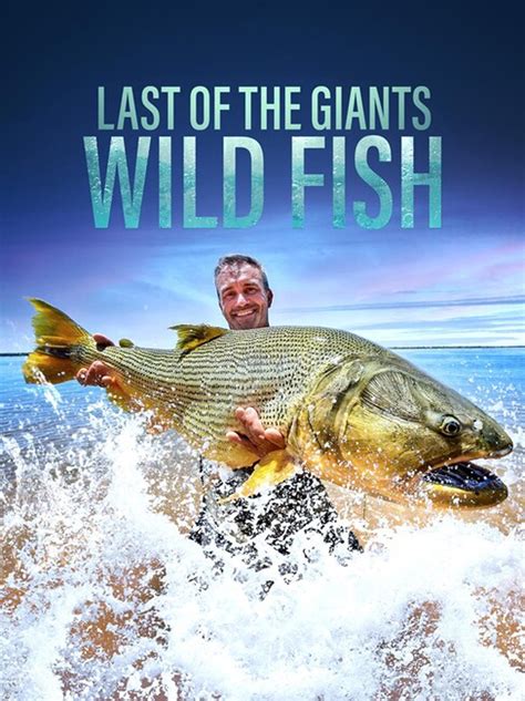 Last Of The Giants Wild Fish Tv Listings Tv Schedule And Episode