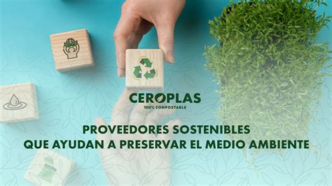 Proveedores Sostenibles Preservando El Medio Ambiente Ceroplas Ceroplas