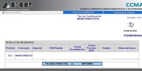 Monotributistas y autónomos cómo saber si la AFIP hizo el reintegro