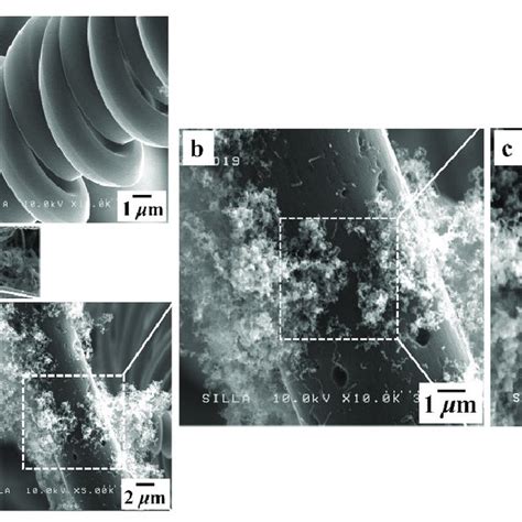 A Fesem Images Of Sample C B Magnified Fesem Image Of The Lower