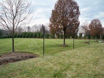 Deer Fence traditional-landscape | Traditional landscape, Deer fence, Landscape