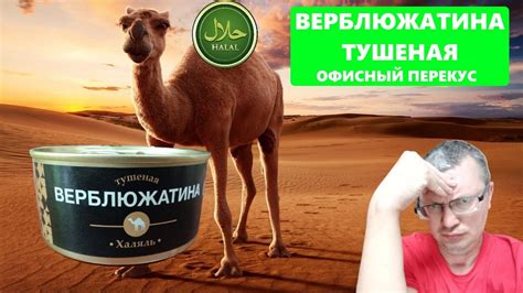 Верблюжатина консервированная - обзор, отзыв. #еда #халяль #халяльеда ...