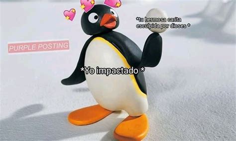 Memes Del Ping Ino Noot Noot Detodo De Todo Amreading Books