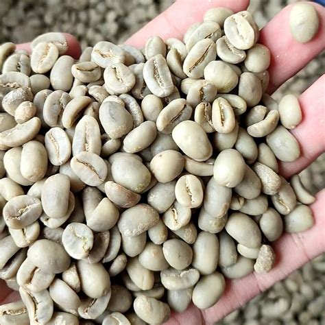 Arabica Coffee Beans Indonesia Supplier » Wholesale Factory