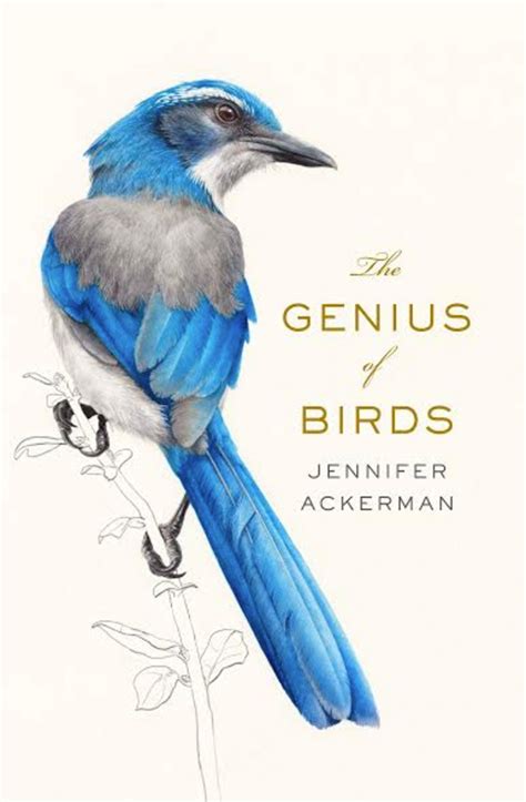 How Intelligent Are Birds Two Books Tackle The Subject All About Birds