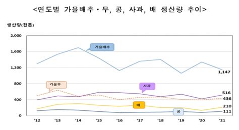 올해 사과·배 생산량 크게 증가 가을배추 가격 하락 팜인사이트