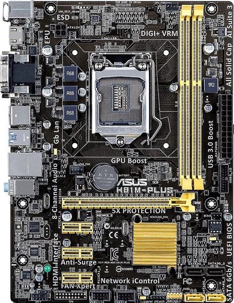 ASUS H81M PLUS Intel H81 LGA 1150 Socket H3 Micro ATX Moederbord Bol